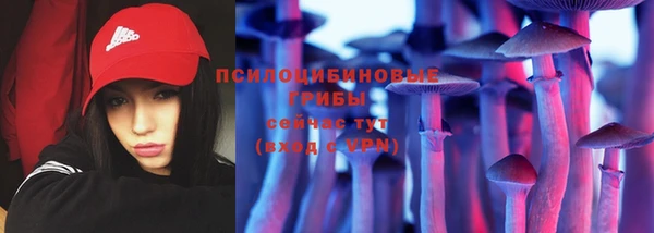прущие крисы Кодинск