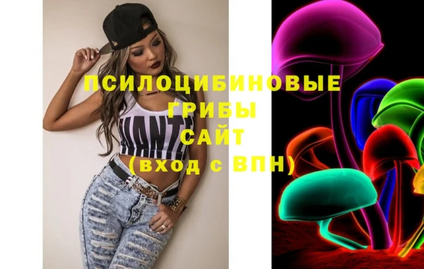 скорость Козловка