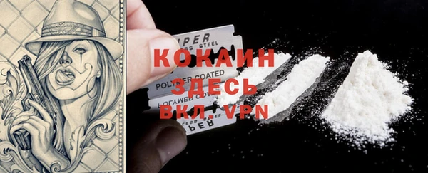 прущие крисы Кодинск
