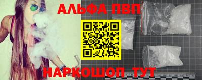 спиды Донской