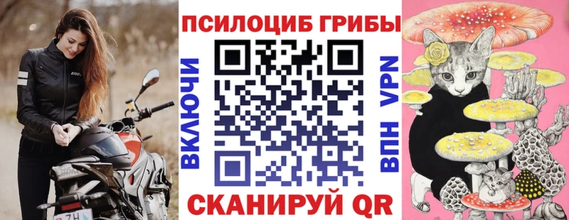 Галлюциногенные грибы Psilocybe  Мирный 
