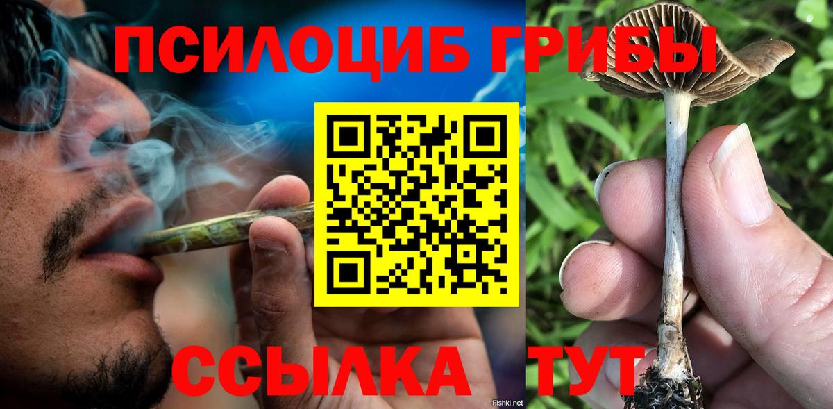 Псилоцибиновые грибы Cubensis  Псилоцибиновые грибы прущие грибы  Мирный  Вход с VPN 